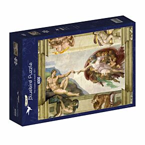 Bluebird puzzle Michelangelo