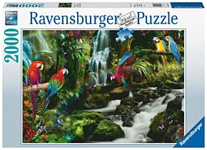 Le paradis des perroquets Ravensburger