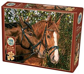 puzzle de grandes pièces thème adultes chevaux