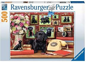 Mijn trouwe vrienden (Ravensburger 16591)