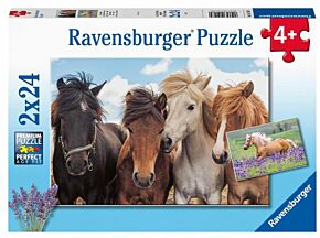 Ravensburger puzzle 'L'amour des chevaux' (2x24 stuks)